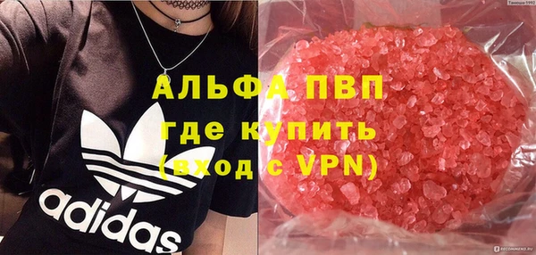 стафф Белокуриха