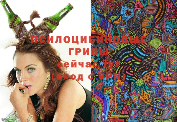 тгк Беломорск