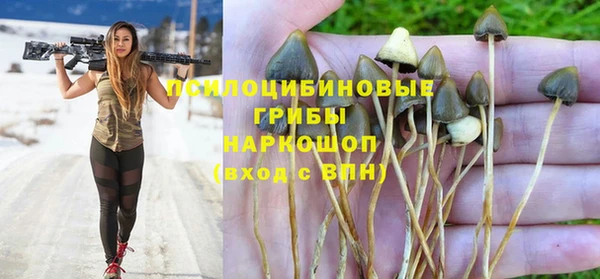 2c-b Белоозёрский