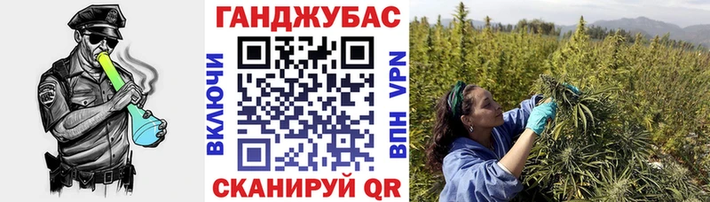 Бошки марихуана сатива  купить  сайты  Ершов 